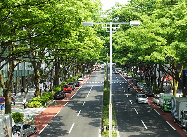 Palace Hotel Tokyo Accommodation Package Couture Tokyo Omotesando Tour Image H2